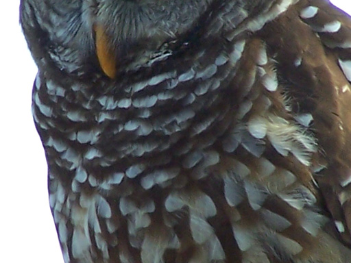 Spring Family Campout 2006 280