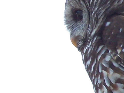 Spring Family Campout 2006 281