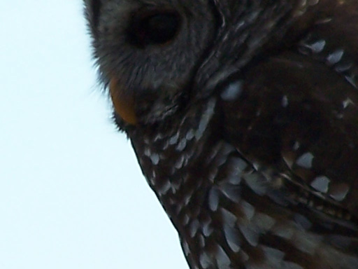 Spring Family Campout 2006 282