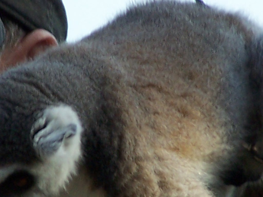 Spring Family Campout 2006 283