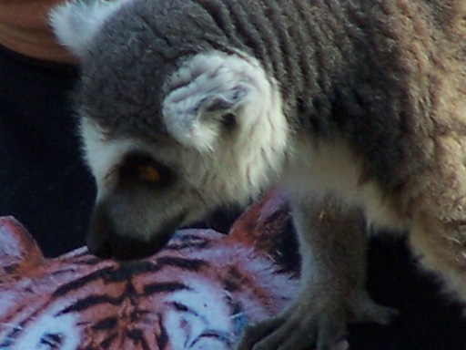 Spring Family Campout 2006 284