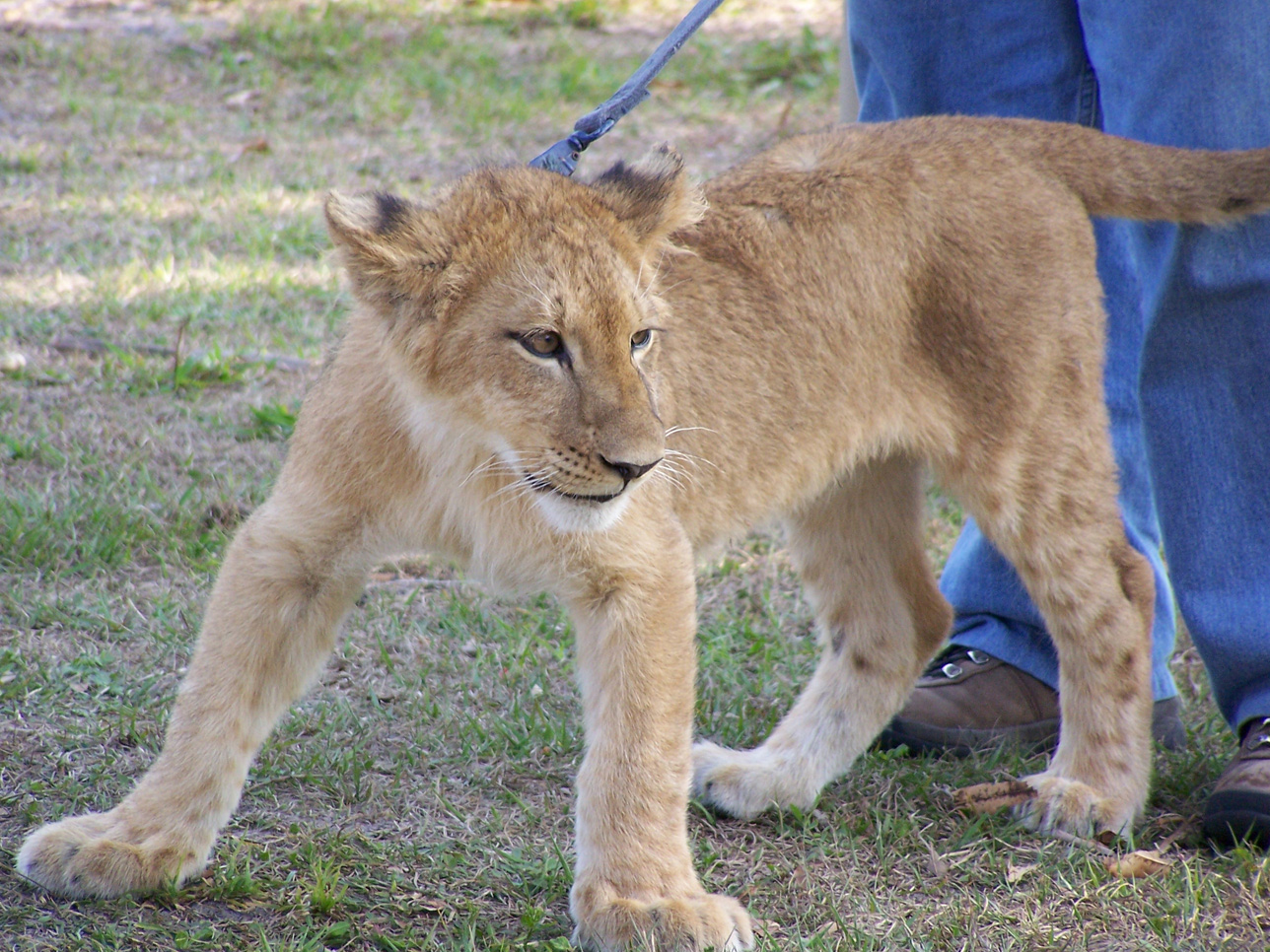 Spring Family Campout 2006 298