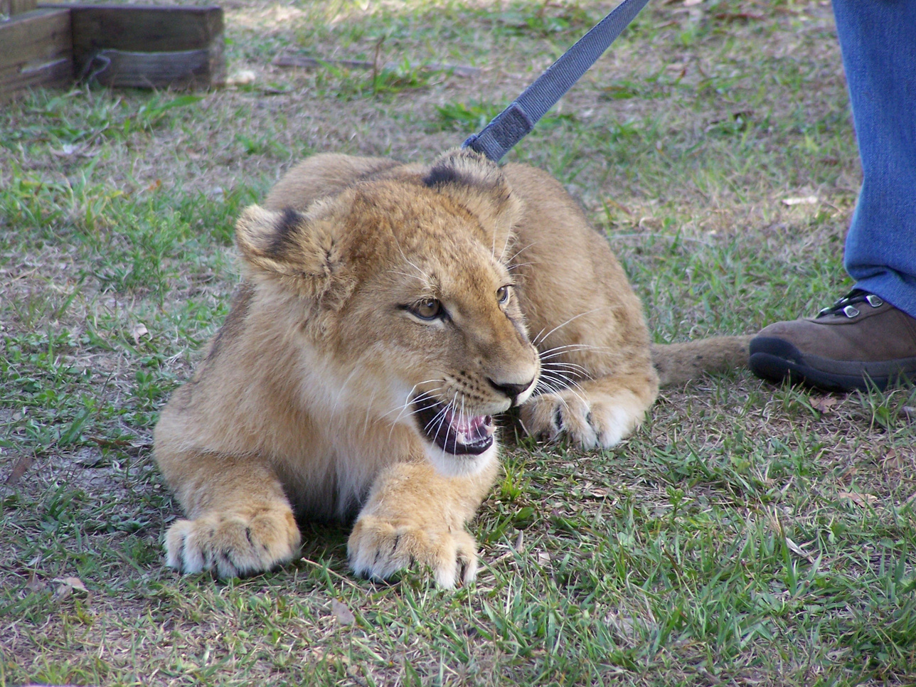 Spring Family Campout 2006 301