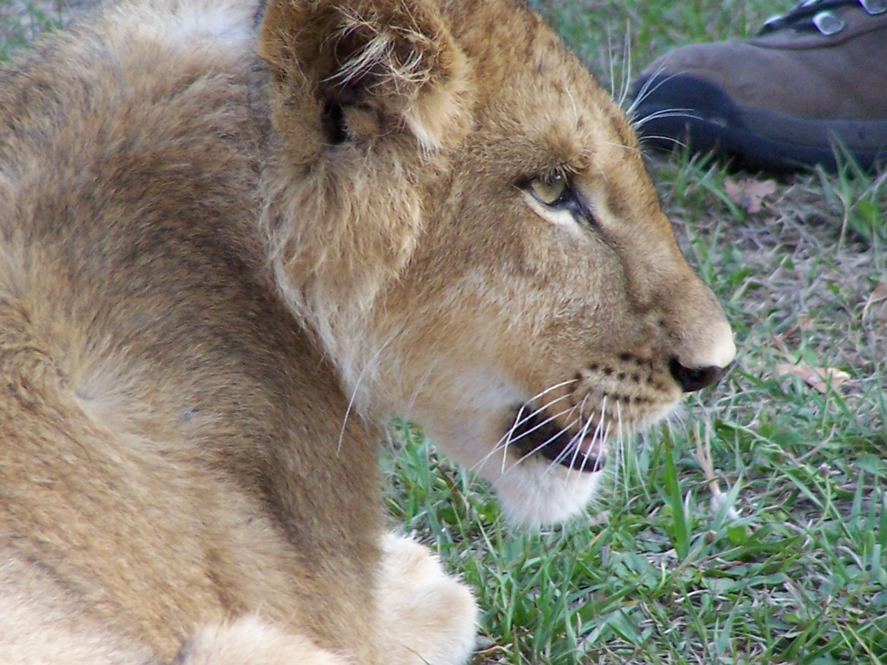 Spring Family Campout 2006 303