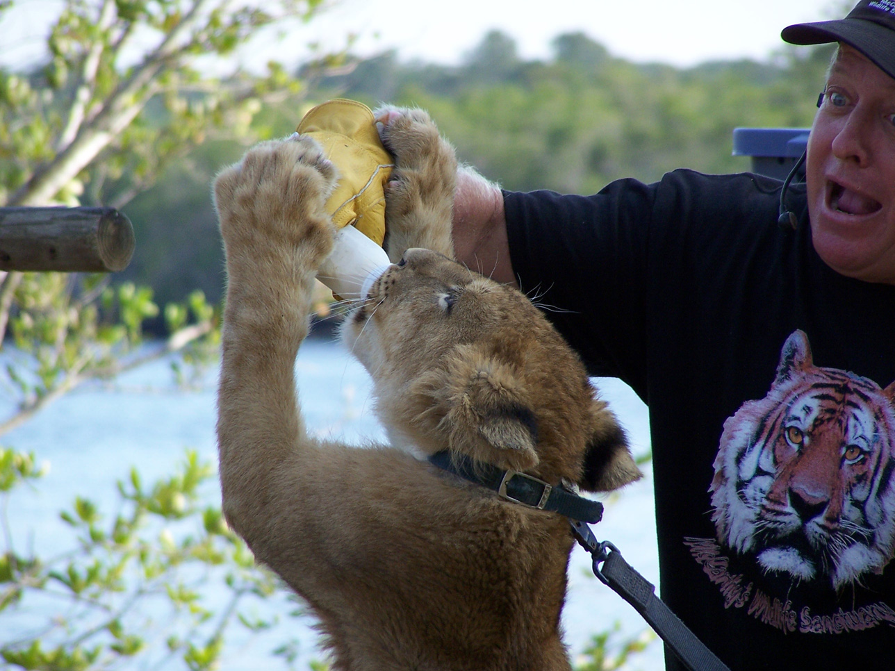 Spring Family Campout 2006 305
