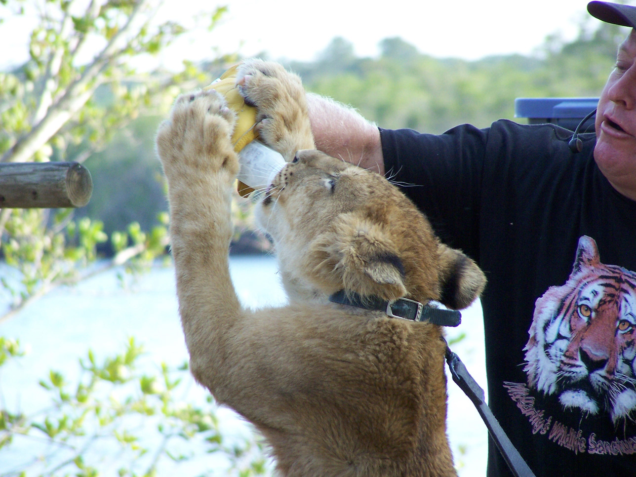 Spring Family Campout 2006 307