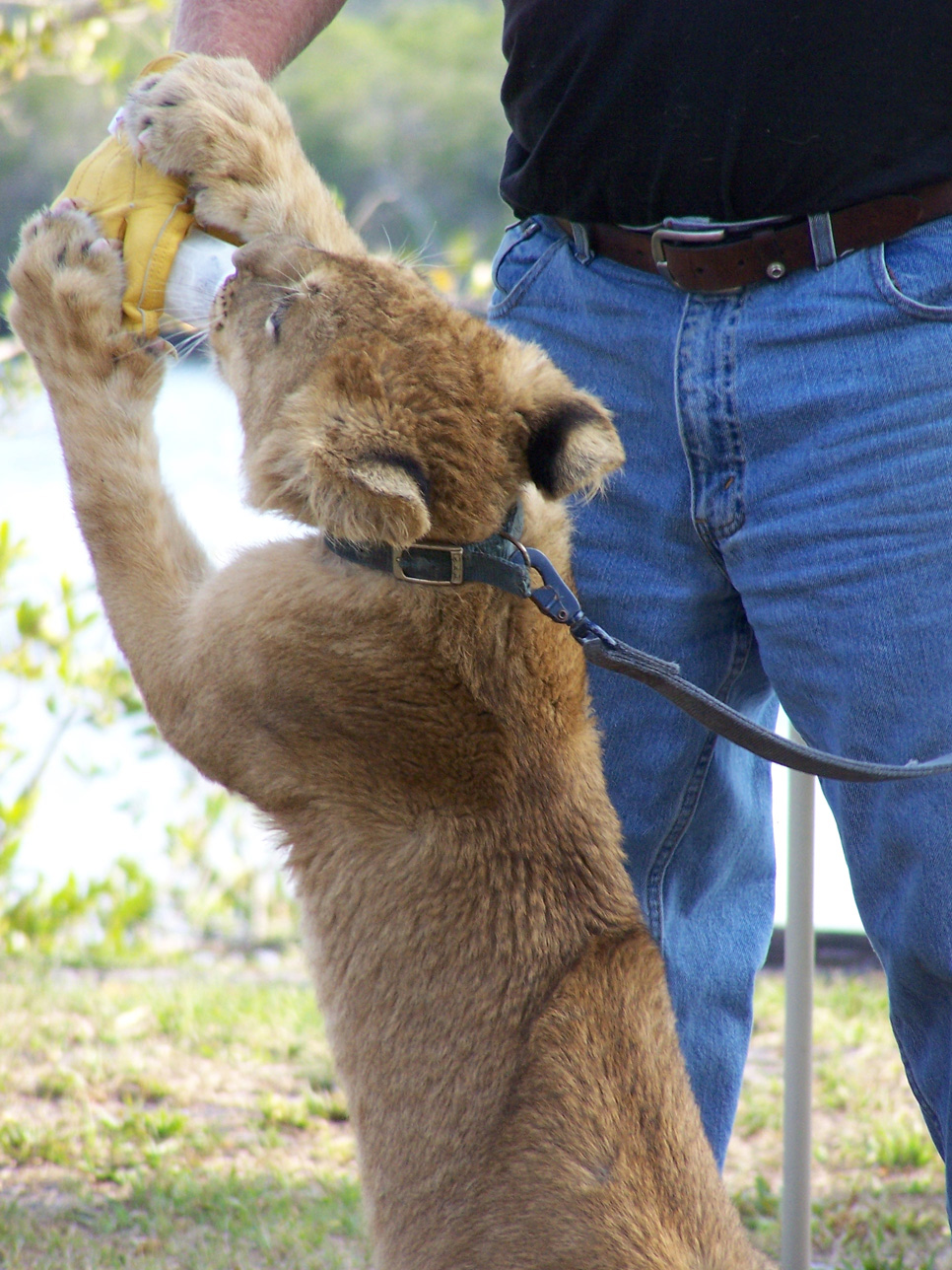 Spring Family Campout 2006 310