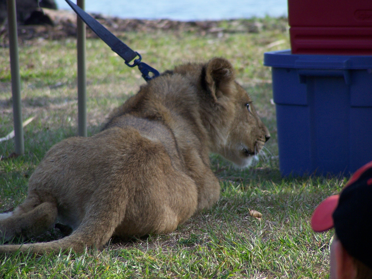 Spring Family Campout 2006 311