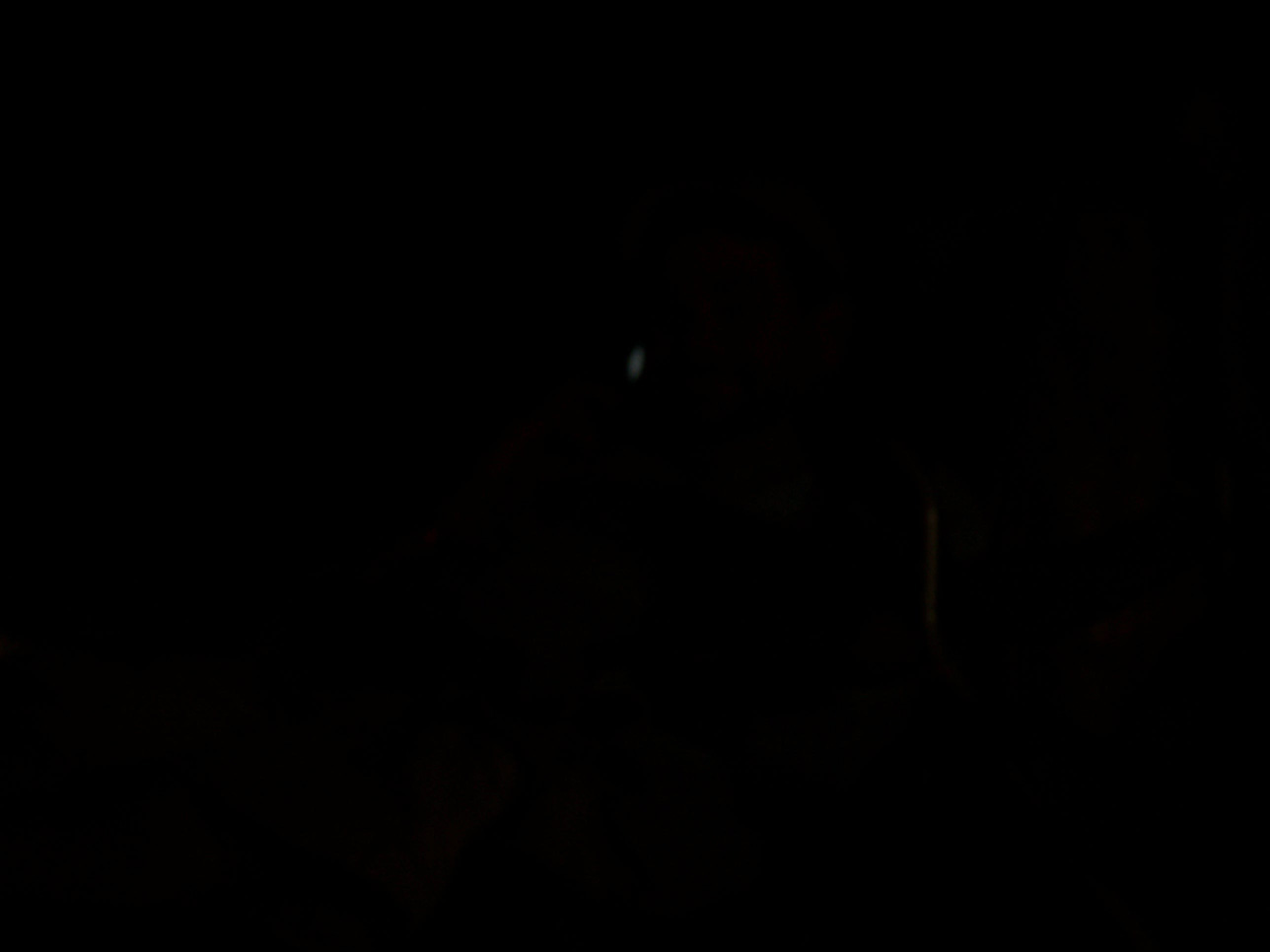 Spring Family Campout 2006 349