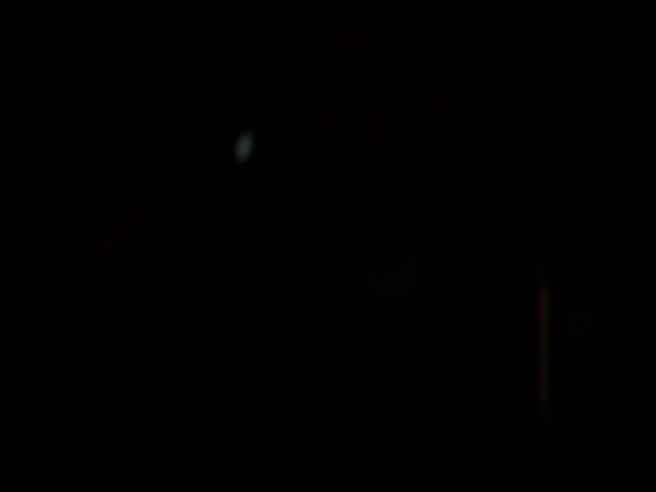 Spring Family Campout 2006 350