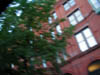 P5210032